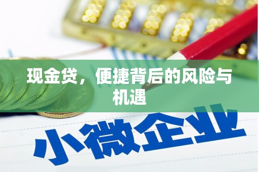 方城现金贷，便捷背后的风险与机遇