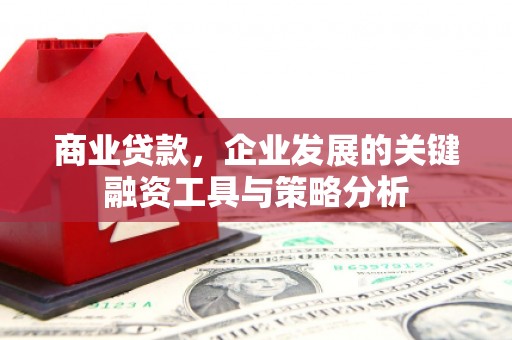 方城商业贷款，企业发展的关键融资工具与策略分析