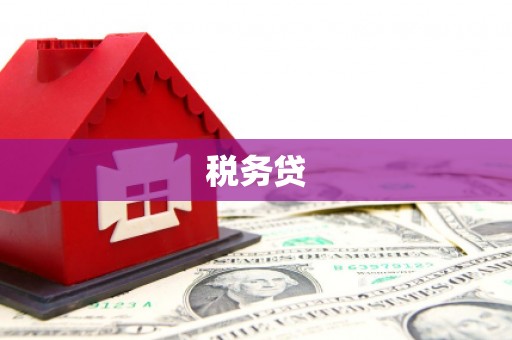 方城税务贷