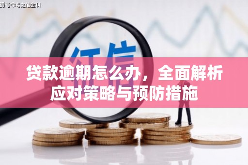 方城贷款逾期怎么办，全面解析应对策略与预防措施