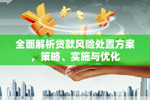 方城全面解析贷款风险处置方案，策略、实施与优化