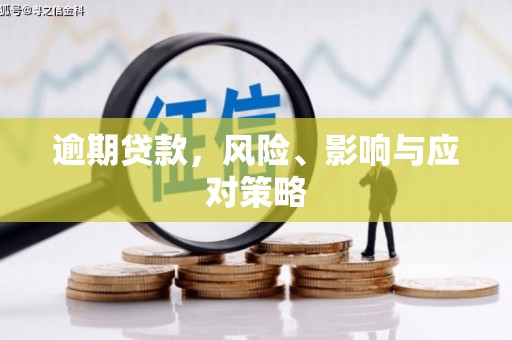 方城逾期贷款，风险、影响与应对策略