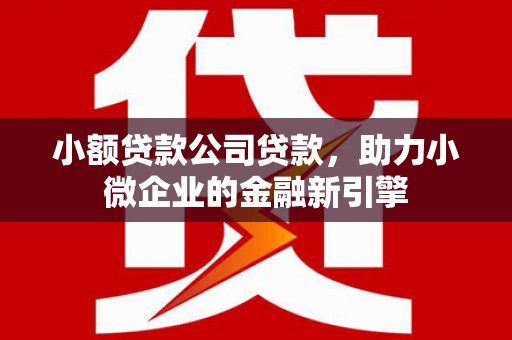 方城小额贷款公司贷款，助力小微企业的金融新引擎