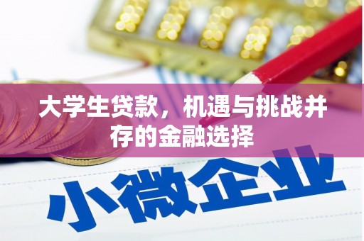 方城大学生贷款，机遇与挑战并存的金融选择