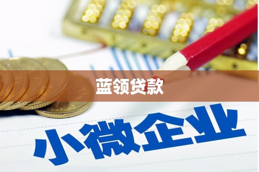 方城蓝领贷款