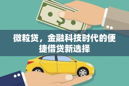 方城微粒贷，金融科技时代的便捷借贷新选择