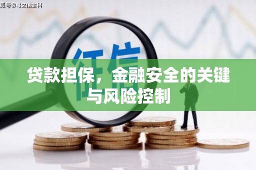 方城贷款担保，金融安全的关键与风险控制