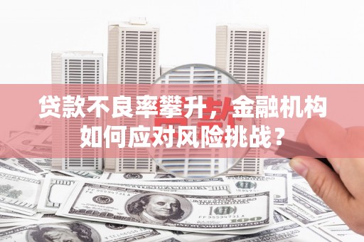 方城贷款不良率攀升，金融机构如何应对风险挑战？