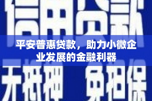 方城平安普惠贷款，助力小微企业发展的金融利器